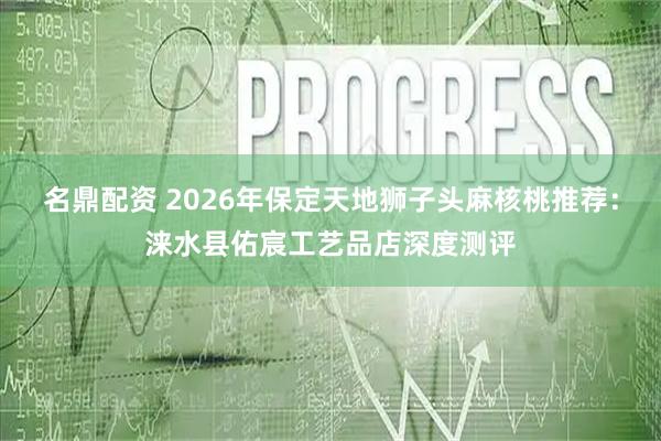 名鼎配资 2026年保定天地狮子头麻核桃推荐：涞水县佑宸工艺品店深度测评