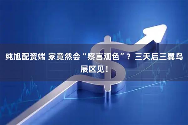 纯旭配资端 家竟然会“察言观色”？三天后三翼鸟展区见！